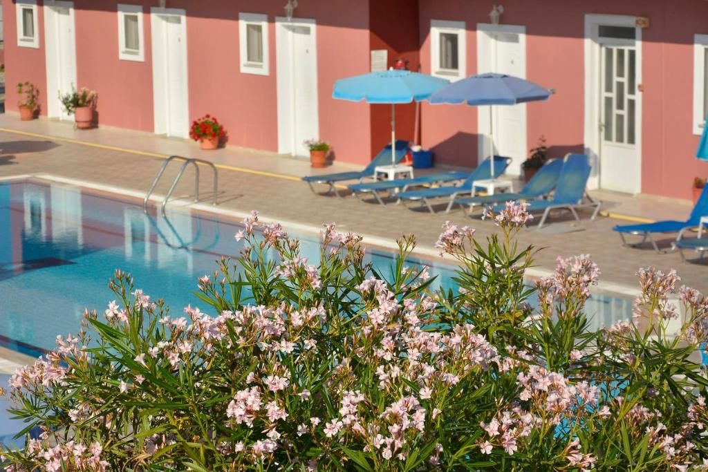 Flowering oleanders beside the pool area